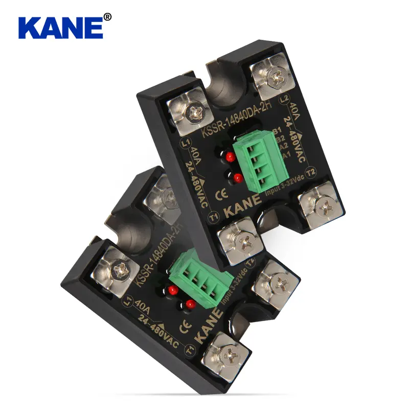 China manufacturer Kane electric Dual ac SSR relay.jpg